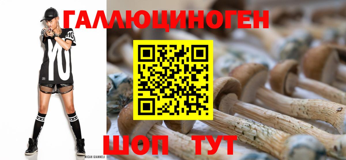 Галлюциногенные грибы мицелий  Вход с VPN  Сердобск 